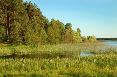 Similar image 910529