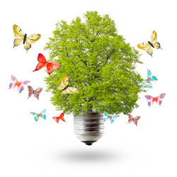 Similar image 910571