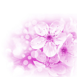 Similar image 910610