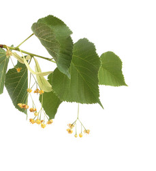 Similar image 910653