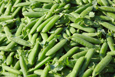 Similar image 910675