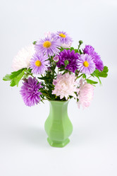 Similar image 910730