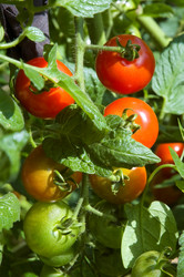 Similar image 910787