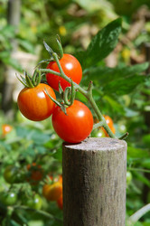 Similar image 910790