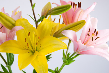 Similar image 910813