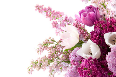 Similar image 910828