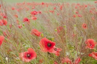 Similar image 910843