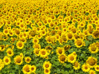 Similar image 910899