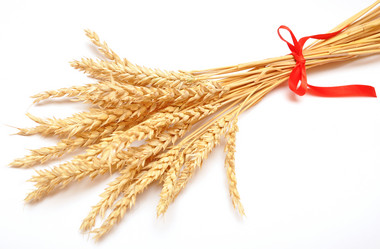 Similar image 910904