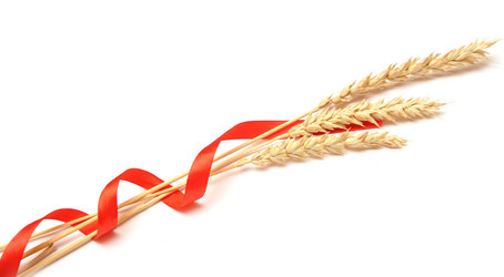 Similar image 910906