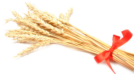 Similar image 910909