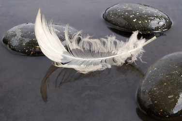 Similar image 910971