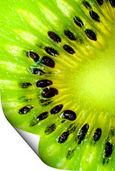 Similar image 910979