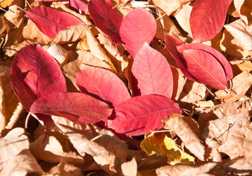 Similar image 911015