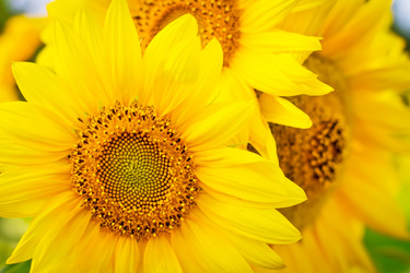 Similar image 911026