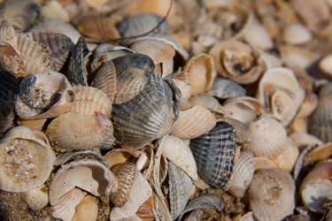 Similar image 911039