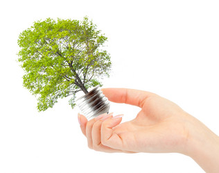 Similar image 911118