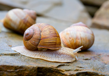 Similar image 911328