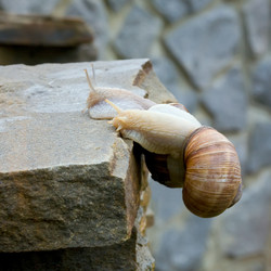 Similar image 911330