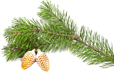 Similar image 911426