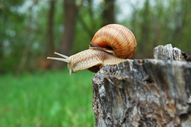 Similar image 911451