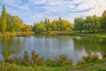 Similar image 911539