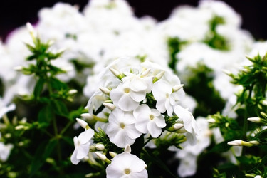 Similar image 911559