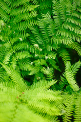 Similar image 911562