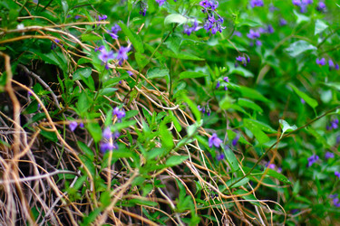 Similar image 911563