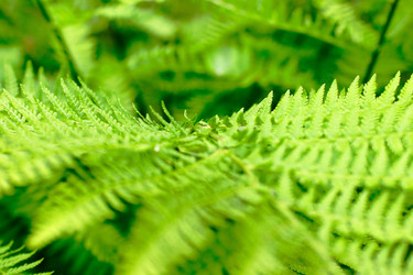 Similar image 911564