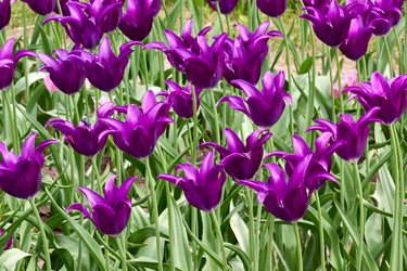 Similar image 911574