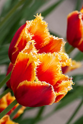 Similar image 911577