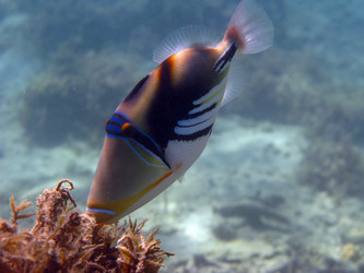 Similar image 911588