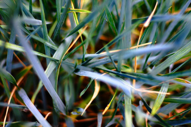 Similar image 911600