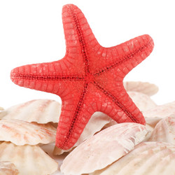 Similar image 911694