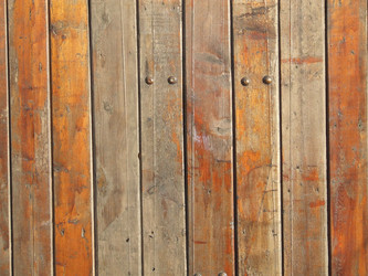 Similar image 911748