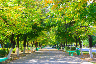 Similar image 911757