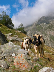 Similar image 911762