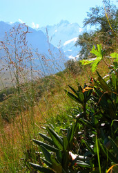 Similar image 911764