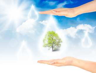 Similar image 911784