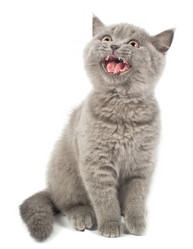 Similar image 911798