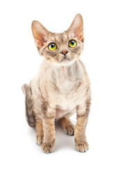 Similar image 911821