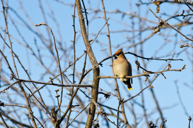 Similar image 911836