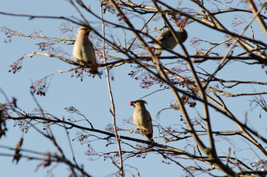 Similar image 911845