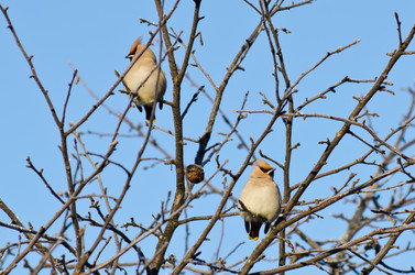 Similar image 911862