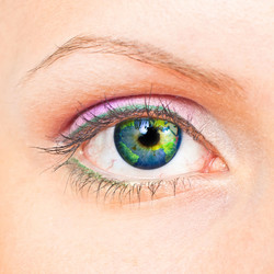 Similar image 911870