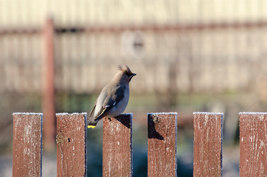 Similar image 911883