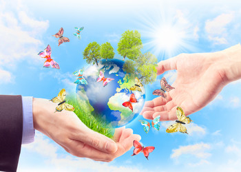 Similar image 911898