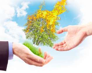 Similar image 911903