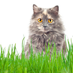 Similar image 911926